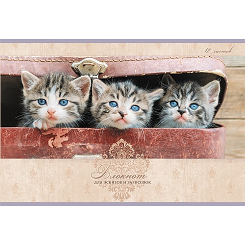 Альбом для рисования «Три котенка», 12 листов альбом для рисования трио котов 12 листов