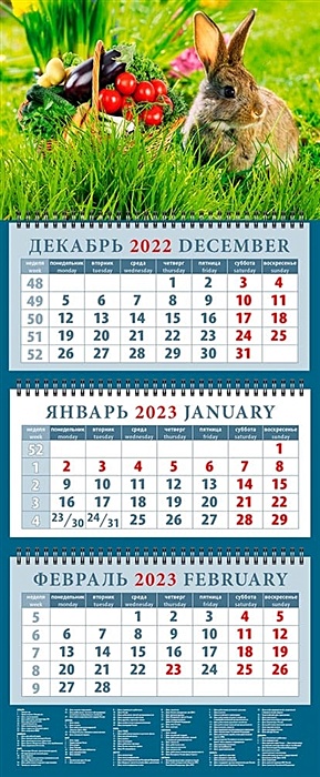 Календарь квартальный на 2023 год Год кролика. Хороший урожай