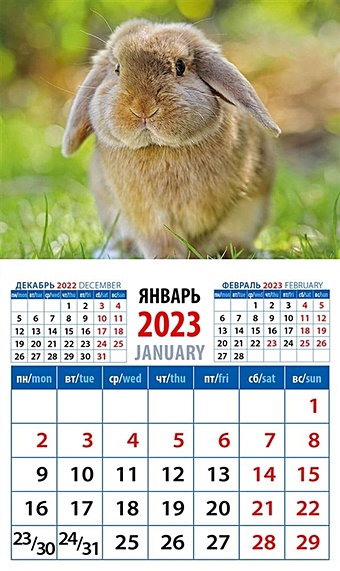 Календарь магнитный на 2023 год Год кролика. Обаятельный и привлекательный