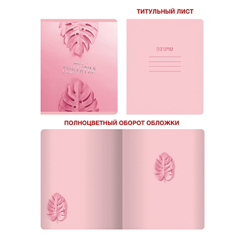 Тетрадь предметная по географии «Розовые мечты», 48 листов тетрадь предметная по русскому языку розовые мечты 48 листов