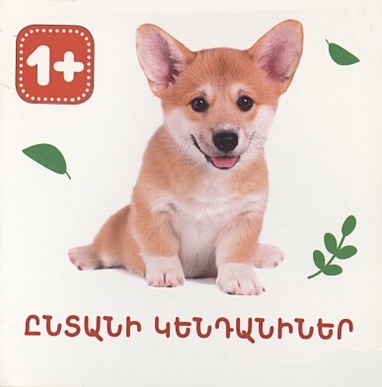 Домашние животные (на армянском языке) моя первая книга домашние животные на армянском языке