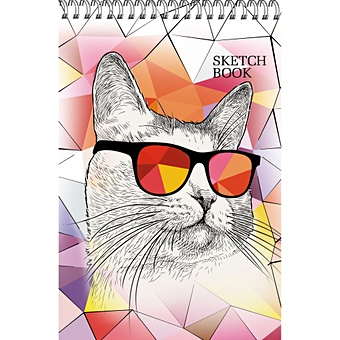 Скетчбук «Модный кот», А4, 60 листов календарь канц эксмо space евроспираль 280х435 мм 2023 год