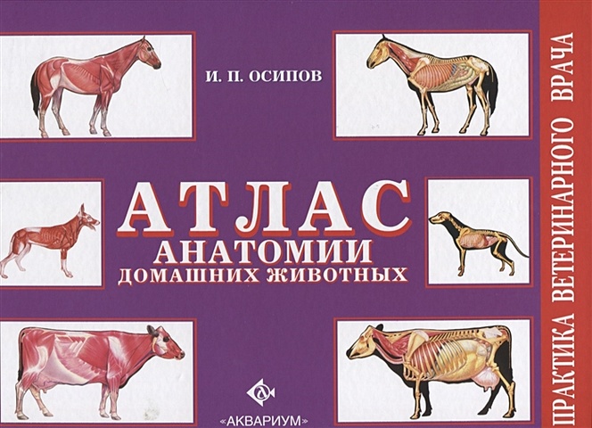 Осипов И. Атлас анатомии домашних животных