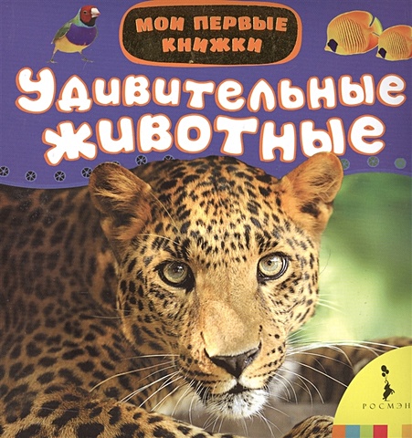 цена Кочеткова А. (ред.) Удивительные животные
