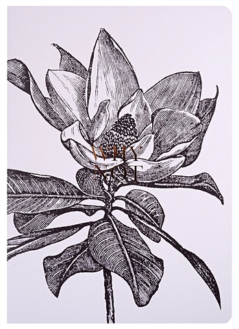 Тетрадь А4 40л кл. Aesthetics, черный цветок на белом, мягк.переплет, ламинация, фольга