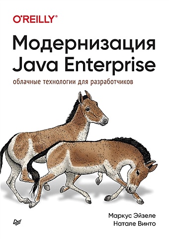 винто натале Эйзеле М., Винто Н. Модернизация Java Enterprise: облачные технологии для разработчиков