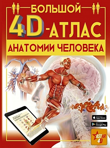 Большой 4D-атлас анатомии человека набор большой атлас анатомии человека фигурка уточка тёмный герой