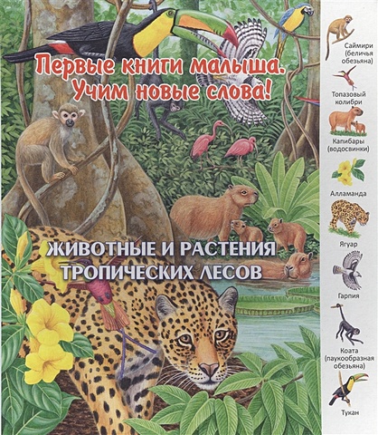 Комарова О. (отв.ред.) Животные и растения тропических лесов животные и растения тропических лесов