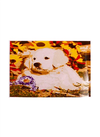 Раскраска по номерам на картоне Щеночек в цветах, 20х30 см раскраска по номерам на картоне милая панда 20х30 см