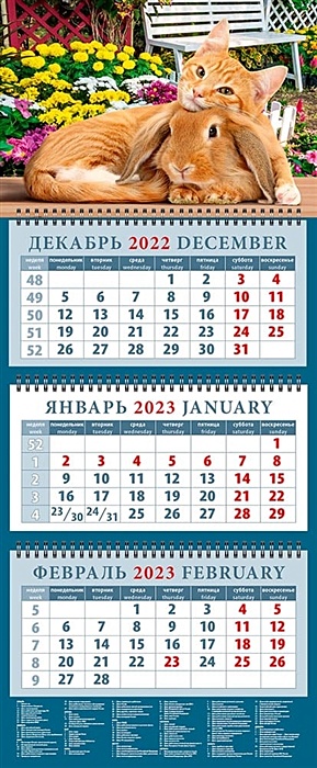 Календарь квартальный на 2023 год Год кота и кролика. Настоящие друзья