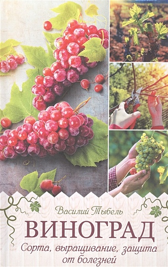 Тыбель В. Виноград. Сорта, выращивание, защита от болезней виноградник на вашем участке