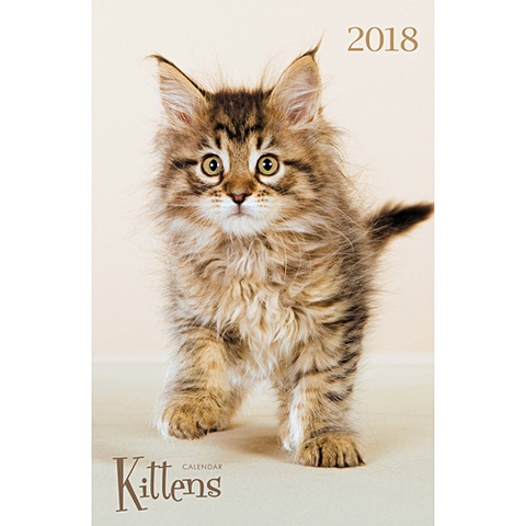 домашние любимцы котята квадр календари 2018 настенные перекидные Домашние любимцы. Милые котята (вертикаль) ***КАЛЕНДАРИ 2018_ НАСТЕННЫЕ ПЕРЕКИДНЫЕ