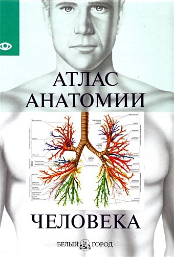 визуальный атлас человеческого тела Атлас анатомии человека / (малый формат) (Паламед)