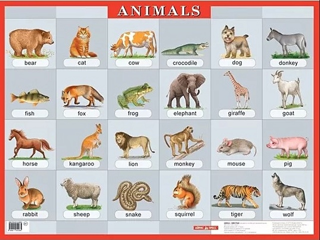Животные : Animals : наглядное пособие наглядное пособие а4 вымершие животные
