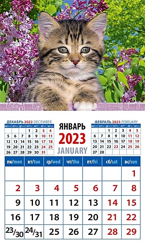 Календарь магнитный на 2023 год "Год кота. Высоко сижу - далеко гляжу"