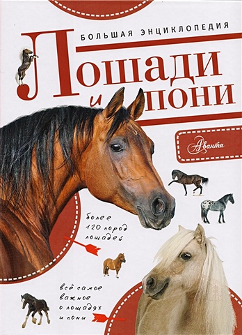 Большая энциклопедия. Лошади и пони пиннингтон андреа лошади и пони большая книга для творчества