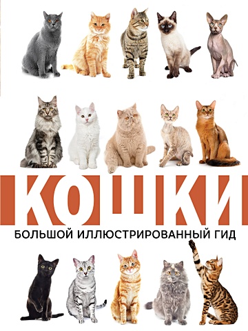 Непомнящий Николай Николаевич Кошки непомнящий николай николаевич кошки лучший иллюстрированный гид