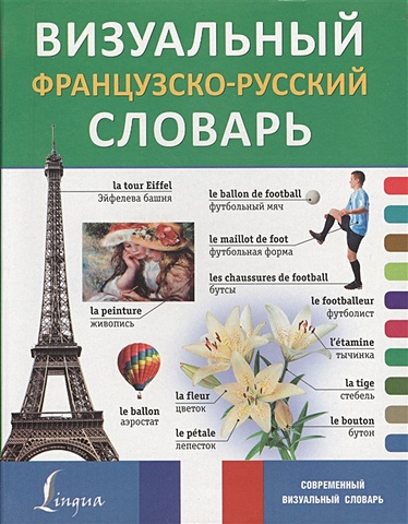 Визуальный французско-русский словарь детский французско русский визуальный словарь