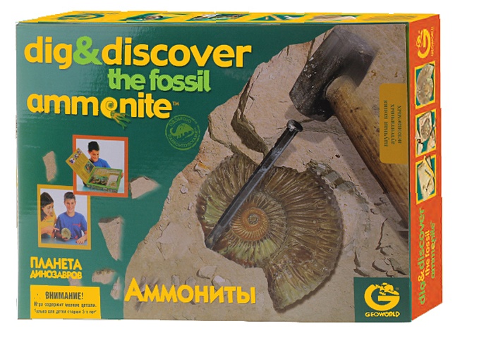 G. Ископаемые в гипсе, набор геолога, Аммониты, коробка с окном ED212KR g коллекция ископаемые в гипсе рыбы cl083kr