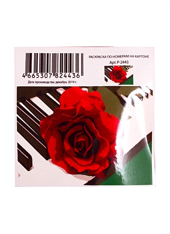 Раскраска по номерам на картоне Прекрасная роза, 20х30 см раскраска по номерам на картоне вид на италию 20х30 см