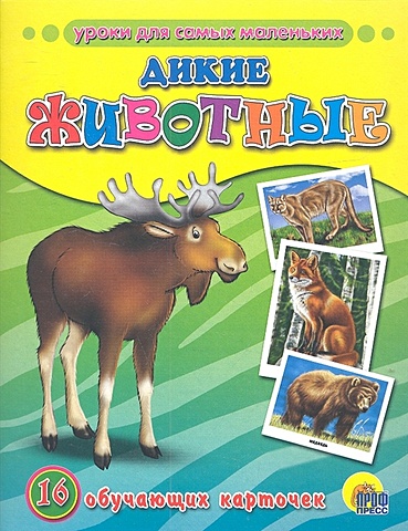 обучающие карточки дикие животные леса на армянском языке Обучающие Карточки. Дикие Животные