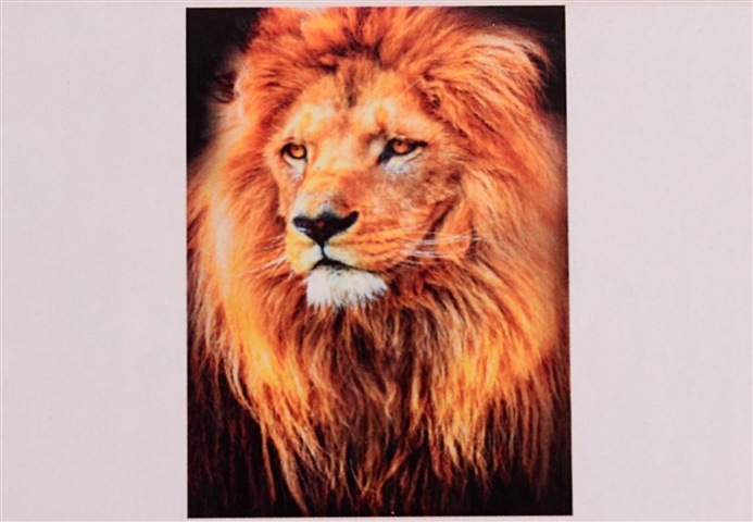 Алмазная мозаика на подрамнике Красивый лев, 30х40 см