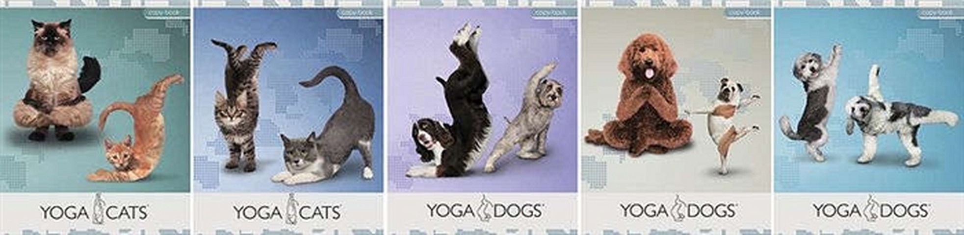цена Тетрадь 96л. А5 клетка Полиграф Принт Серия Yoga Dogs выб. лак в асс. ЕАС-YD47/5