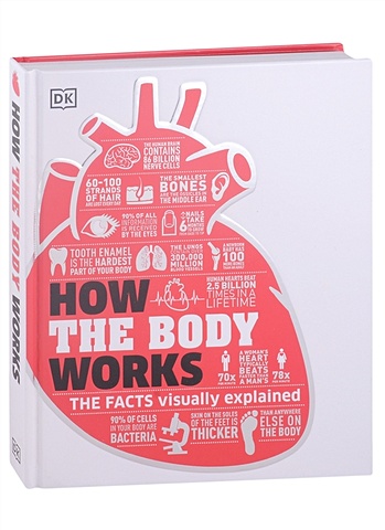 How the Body Works winston robert my amazing body machine a colorful visual guide to how your body works