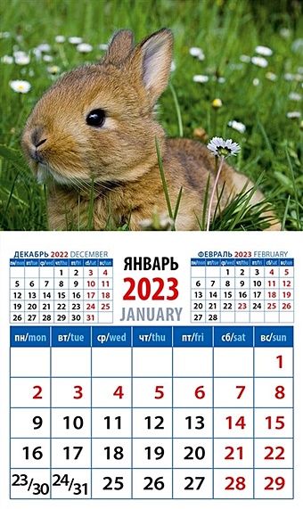 Календарь магнитный на 2023 год Год кролика. Забавный малыш в траве