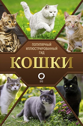 Непомнящий Николай Николаевич Кошки непомнящий николай николаевич персидские кошки содержание кормление разведение лечение