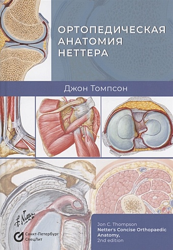 анатомия неттера атлас раскраска хансен д Томпсон Дж. Ортопедическая анатомия Неттера