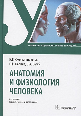 Смольянникова Н., Фалина Е., Сагун В. Анатомия и физиология человека. Учебник