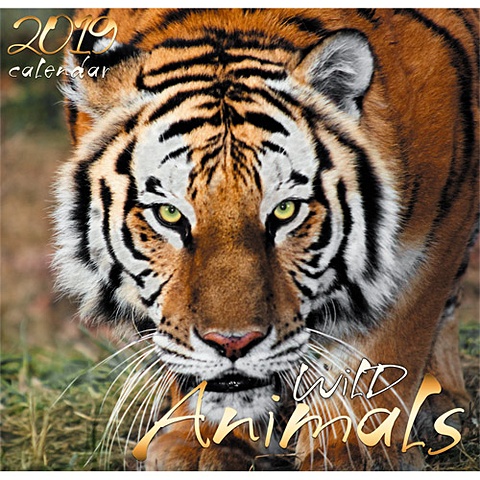 Дикие животные. Тигр ***КАЛЕНДАРИ 2019_ НАСТЕННЫЕ ПЕРЕКИДНЫЕ дикие животные вертикаль календари 2018