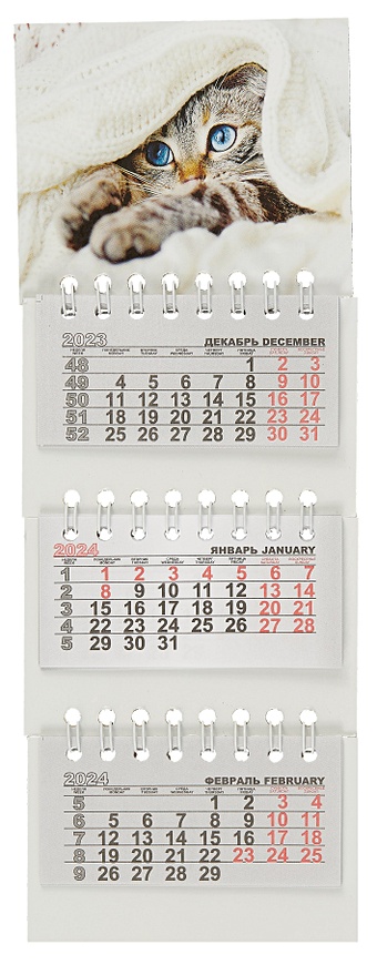 Календарь квартальный 2024г 82*230 Котенок в пледе на магните силиконовый чехол на meizu m3 note мейзу м3 ноут с принтом котенок на пледе