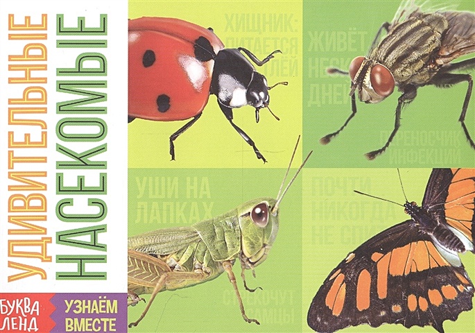 цена Обучающая книга «Удивительные насекомые»