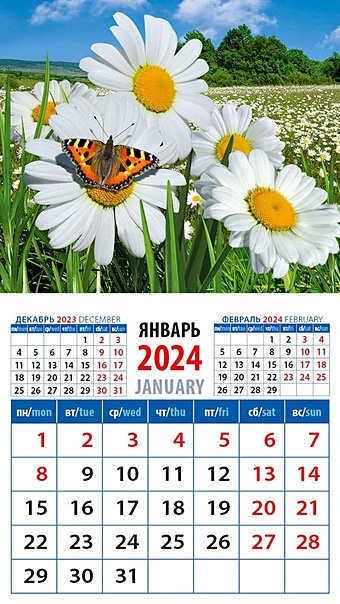 Календарь 2024г 94*167 Ромашки с бабочкой на магните календарь магнитный на 2023 год пейзаж с ромашками и бабочкой