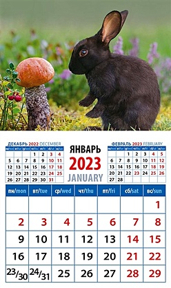 Календарь магнитный на 2023 год Год кролика. Длинноухий грибник