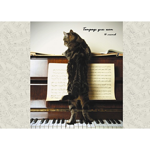Тетрадь для нот «Пушистый музыкант»‎, А4, 16 листов тетрадь для нот котенок музыкант