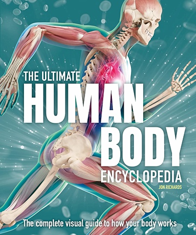Ричардс Дуглас The Ultimate Human Body Encyclopedia: The complete visual guide walker richard human body