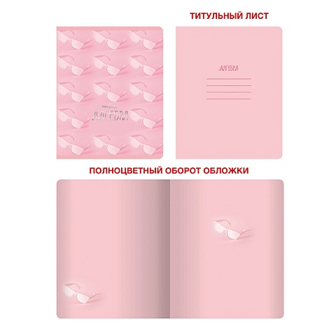 Тетрадь предметная по алгебре «Розовые мечты», 48 листов тетрадь предметная по русскому языку розовые мечты 48 листов