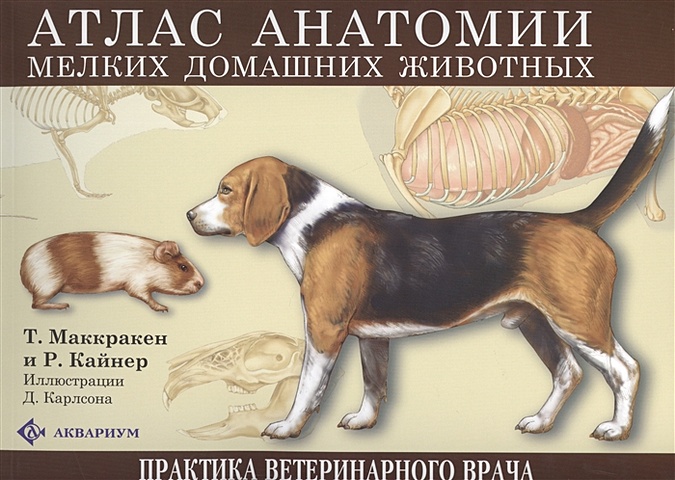Атлас анатомии мелких домашних животных (305х230) риис р к офтальмология мелких домашних животных