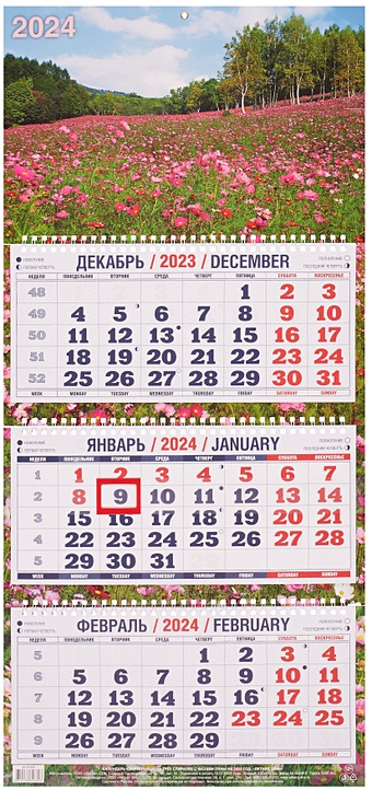 цена Календарь квартальный 2024г 310*680 Летний день настенный, трёхблочный, спираль