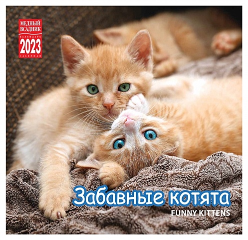Календарь настенный на 2023 год Забавные котята