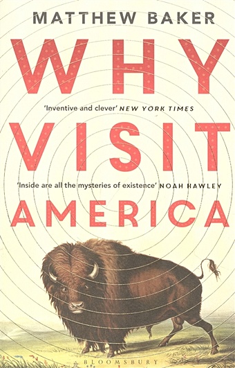 Why Visit America macgregor neil germany memories of a nation