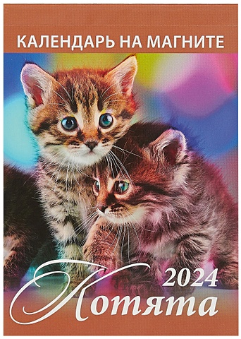 Календарь 2024г 96*135 Котята на магните календарь на магните отрывной на 2023 год котята