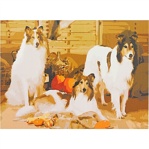 Холст с красками по номерам Красивые собаки, 40 х 50 см