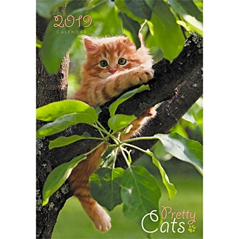 Домашние любимцы. Котенок на дереве ***КАЛЕНДАРИ 2019_ НАСТЕННЫЕ ПЕРЕКИДНЫЕ