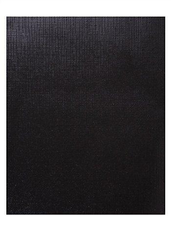 Тетрадь METALLIC черный, клетка, 48 листов