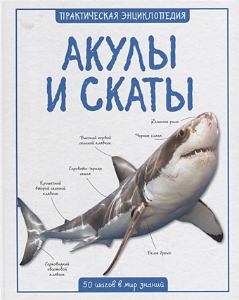 Бедуайер К. Акулы и скаты