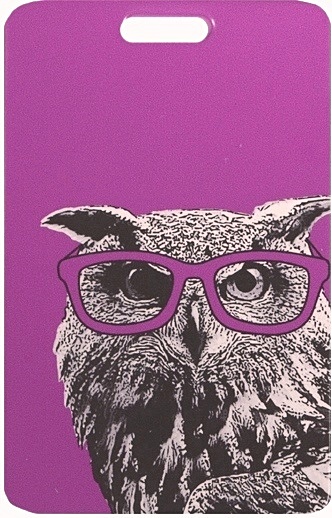 Чехол для карточек Сова в очках чехол mypads сова в красных очках для oneplus 10t задняя панель накладка бампер